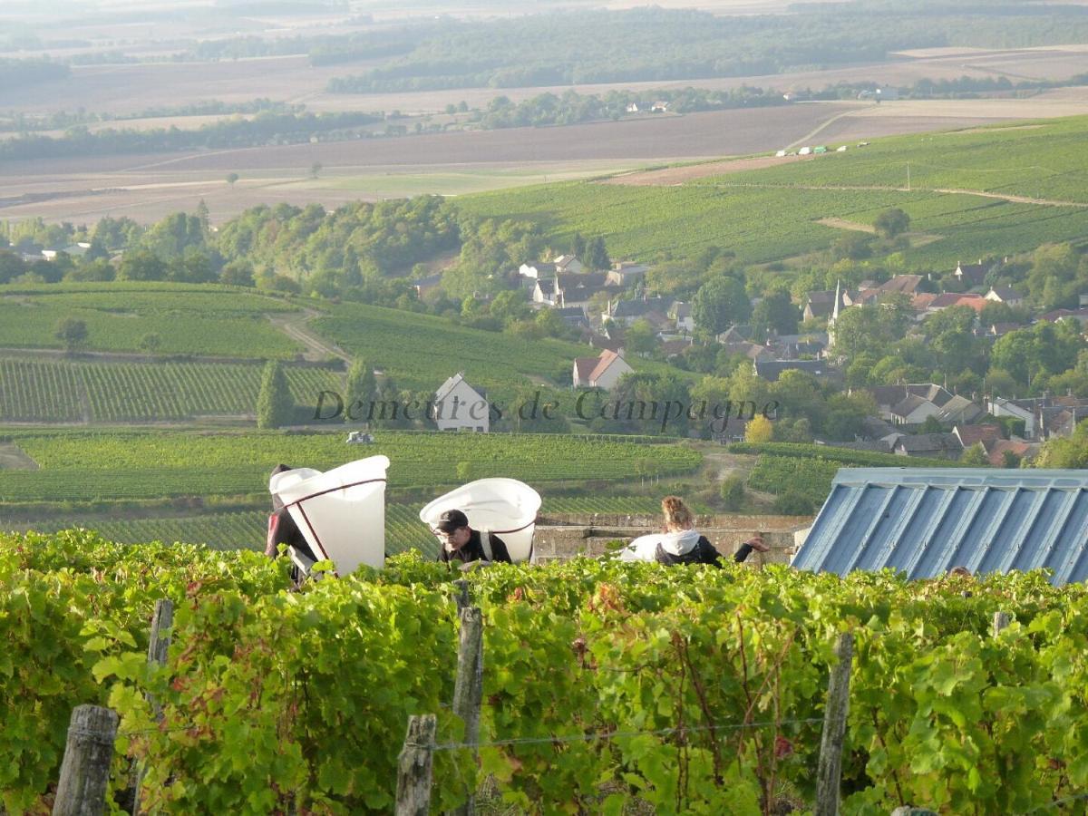 Maison Les Fossiles Sancerre Exterior foto